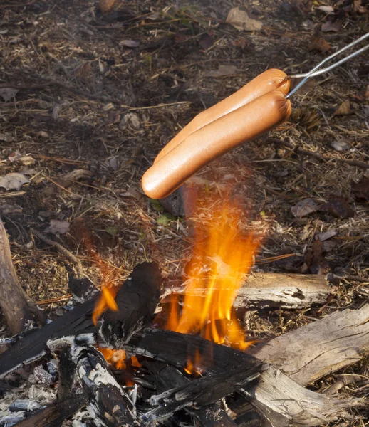 Hot Dogs am Lagerfeuer — Stockfoto