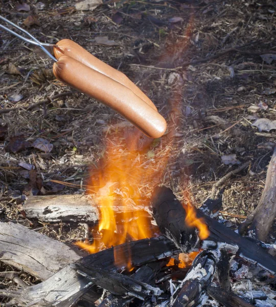 Hoguera perros calientes en las llamas — Foto de Stock