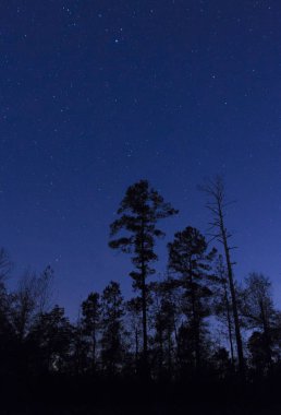Kuzey Carolina gece gökyüzü