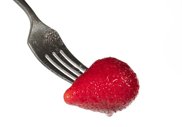 Fresa madura en un tenedor —  Fotos de Stock