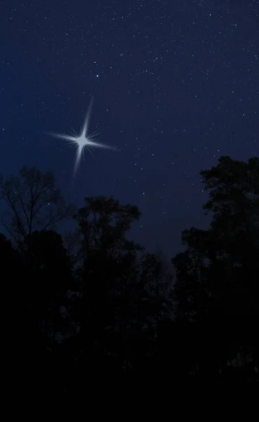 Estrella de Navidad justo encima de los árboles — Foto de Stock