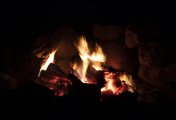 Api unggun di malam hari — Stok Foto