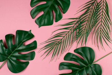 Yaz kavramı. Pembe arka planda palmiye yaprakları.