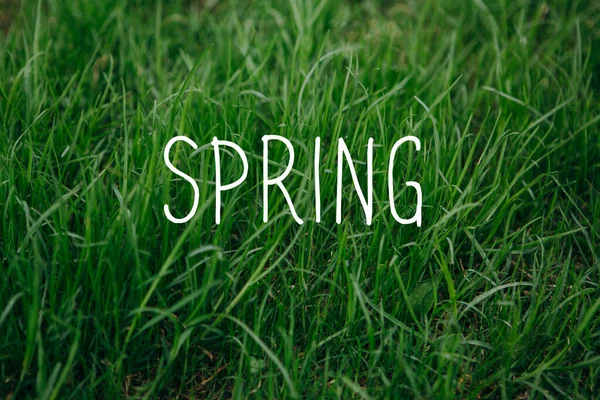 Spring Concept Inscription Spring Green Grass Background — Stock Photo, Image