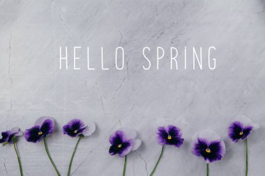 Bahar konsepti Mermer bir arka planda mor çiçekler. Boşluğu kopyala