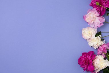 Yazlık konu fotoğrafçılığı. Mavi arkaplanda şakayıklar