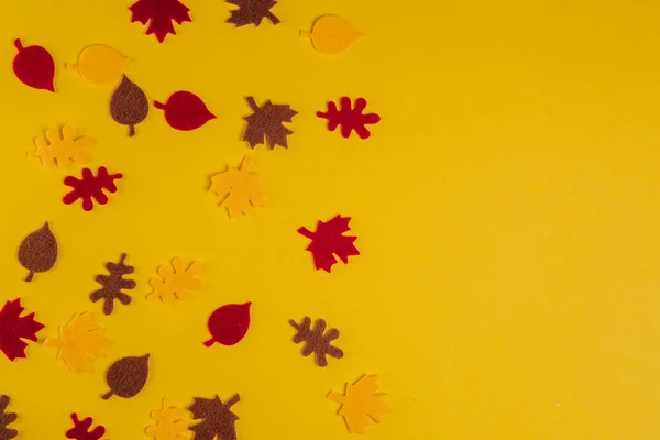 Autumn concept.Paper leaves on a yellow background