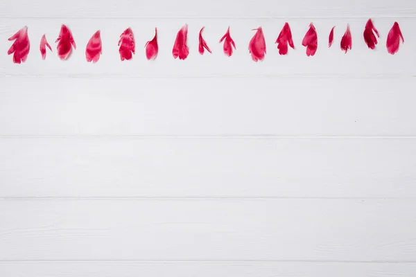 Yazlık konu fotoğrafçılığı. Beyaz tahtada pembe taç yaprakları