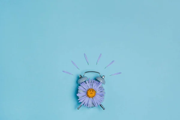 Yazlık konu fotoğrafçılığı. Bir papatya ve alarm saati.