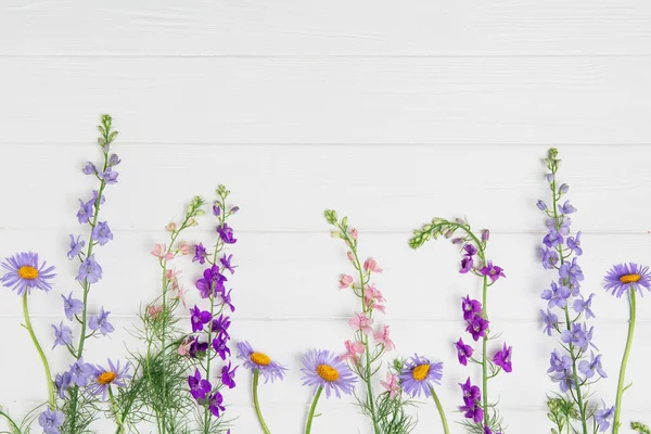 Yazlık konu fotoğrafçılığı. Beyaz tahtada Delphinium çiçekleri