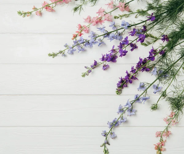 Yazlık konu fotoğrafçılığı. Beyaz tahtada Delphinium çiçekleri