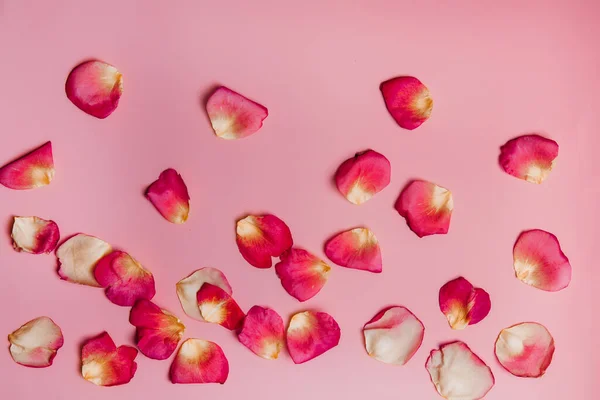 Fotografía Verano Pétalos Sobre Fondo Rosa —  Fotos de Stock