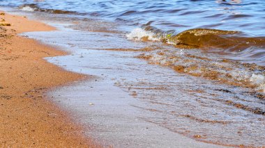 Denizden ya da göllerden gelen dalgalar kumsalın altın sarısı kumu üzerinde yuvarlanıyor. Dalga üstüne dalga kıyıya doğru yuvarlanıyor. Dalga sıçraması ve beyaz köpük oluşumu..