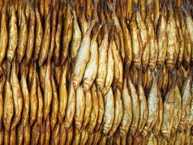 Güzel kahverengi füme balık. Tütsülenmiş balığa yakın çekim. Çeşitli göl ve deniz balıkları. Lezzetli ve sağlıklı yiyecekler. Pazarda satılık..