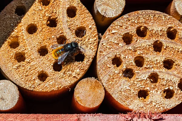 Insect hotel seen up close, macro