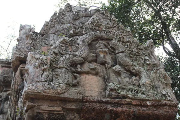 Кхмерское искусство в Ангкорском комплексе. Крупный план красивого вина — стоковое фото
