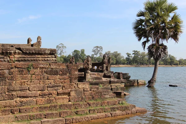 Lagoa perto do templo no meio da selva, Camboja — Fotografia de Stock