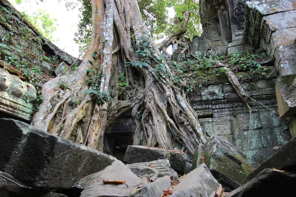 Ruinen und Mauern einer antiken Stadt in Angkor-Komplex, in der Nähe der — Stockfoto