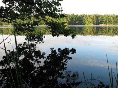 Orman Gölü'nden görünümünü