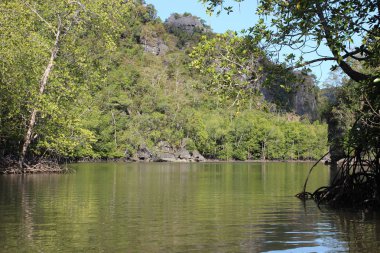 Yağmur ormanlarında nehir gezisi