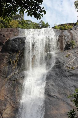 Malezya tropikal orman şelale