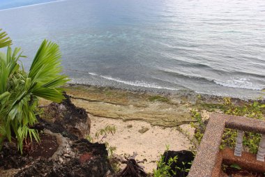 Ağaçlar, taşlar, foregrou binalarda ile okyanus kıyısında