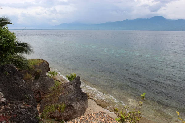 Ağaçlar, taşlar, foregrou binalarda ile okyanus kıyısında