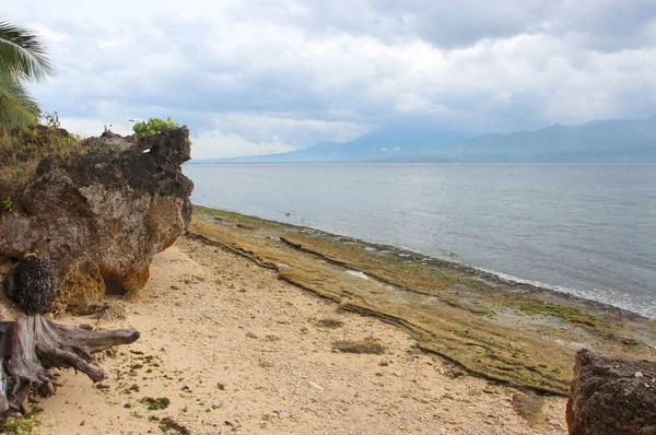 Ağaçlar, taşlar, foregrou binalarda ile okyanus kıyısında