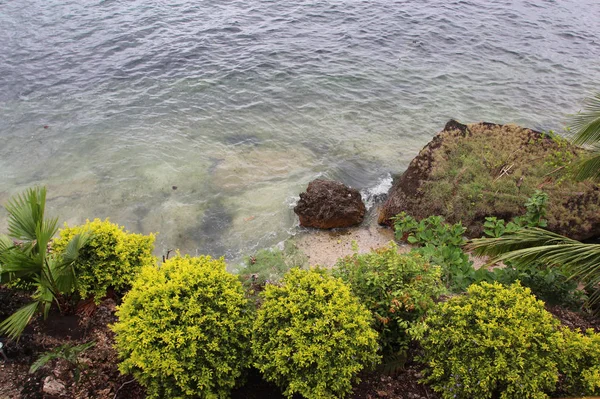 나무, 돌, 건물은 foregrou에 바다의 해안 — 스톡 사진