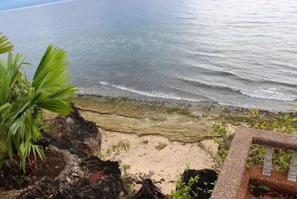 Ağaçlar, taşlar, foregrou binalarda ile okyanus kıyısında