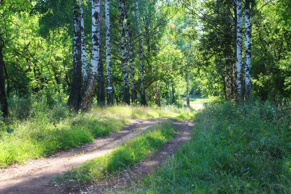 Sonbahar parkında bir sokak.