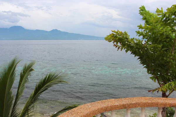 Ağaçlar, taşlar, foregrou binalarda ile okyanus kıyısında