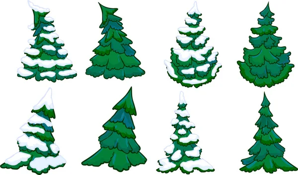 Illustratie van conifer bomen. Winter en zomer ingesteld. Geïsoleerd — Stockvector