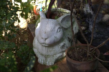 Alçı tavşan tavşan yeşillik içinde