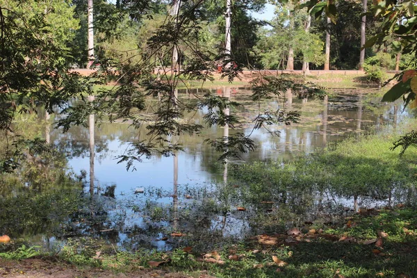 Lagoa perto do templo no meio da selva, Camboja — Fotografia de Stock