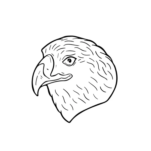 Голова орла на белом фоне — стоковый вектор