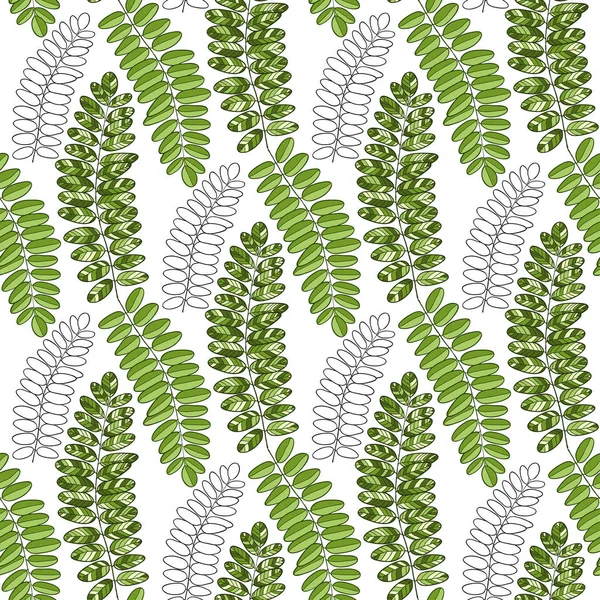 Bright textile pattern with acacia leaves. Vector background for packaging and fabric design — Stock Vector