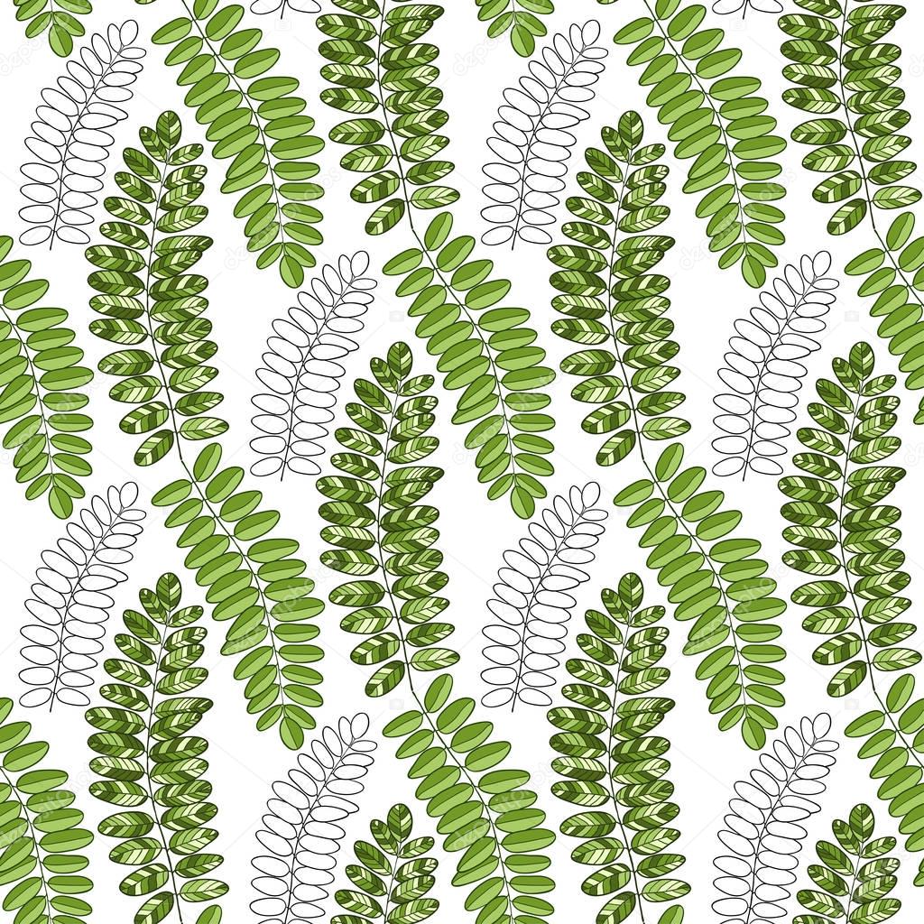 Bright textile pattern with acacia leaves. Vector background for packaging and fabric design