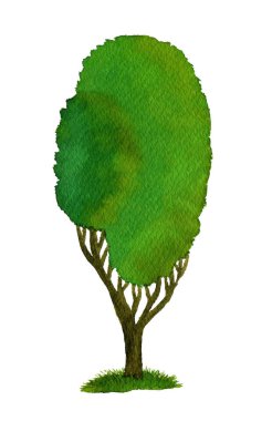 watercolor tree illustration clip art design