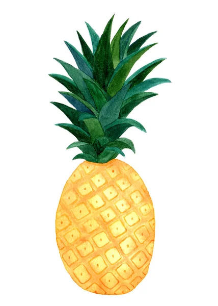 Akvarell ananas målning — Stockfoto