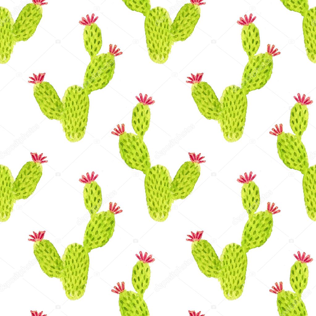 Cactuses seamless pattern