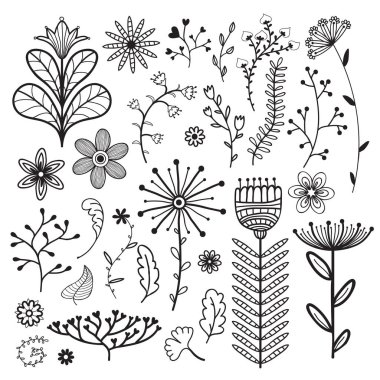  İllüstrasyon, çiçekli dalları ve yaprakları. 