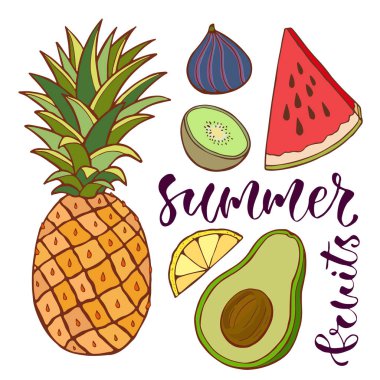 Vektör ananas ve dilimlenmiş meyve. 