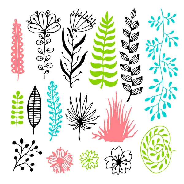 Floral set with flowers and leaves. — Stock Vector
