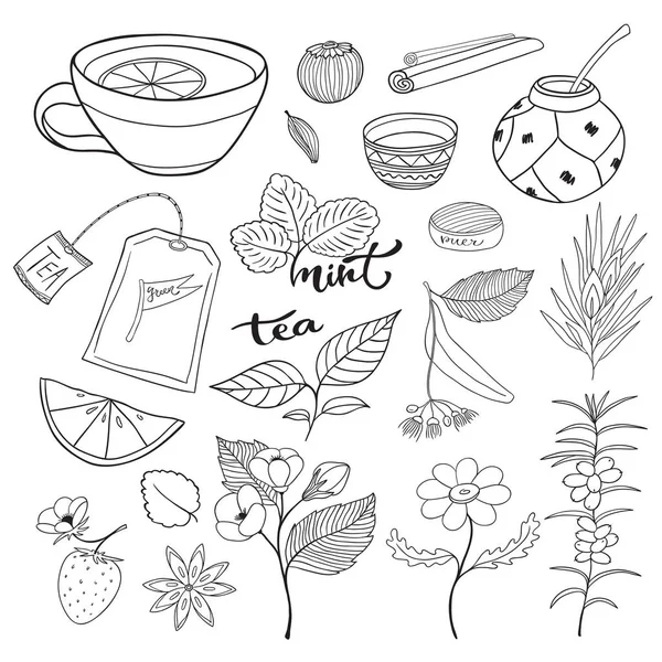 Çay el çekilmiş izole koleksiyonu. — Stok Vektör