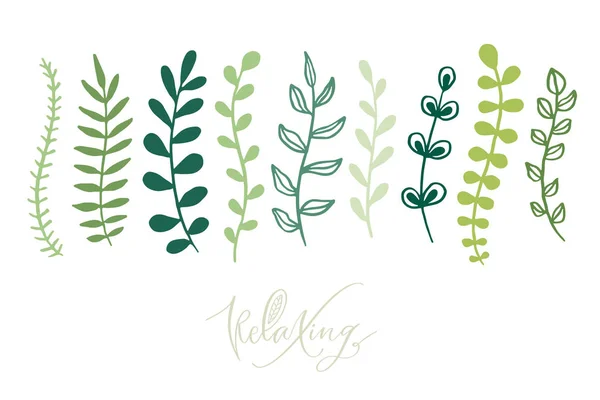 Ramos Verdes Folhas Projeto Botânico Imprimível Coleção Esboços Florais Elementos — Vetor de Stock
