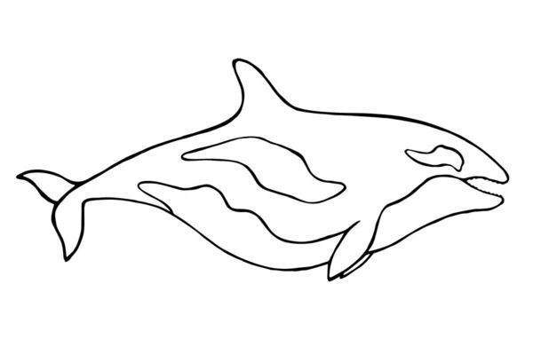 Illustration Baleine Dans Style Art Linéaire Logotype Contour Minimaliste — Image vectorielle