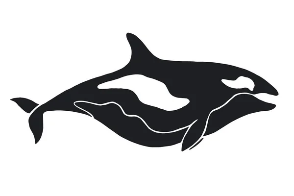 Katil Balina Illüstrasyonu Logoti Tişört Izi Tasarımı Için Okyanus Hayvanı — Stok Vektör