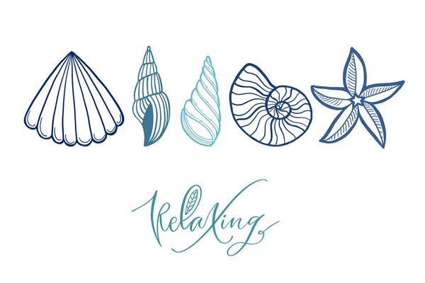貝殻の線のイラスト 絶縁ベクトル印刷 印刷可能な夏のデザイン ギフトカード用ぬり絵ページ — ストックベクタ