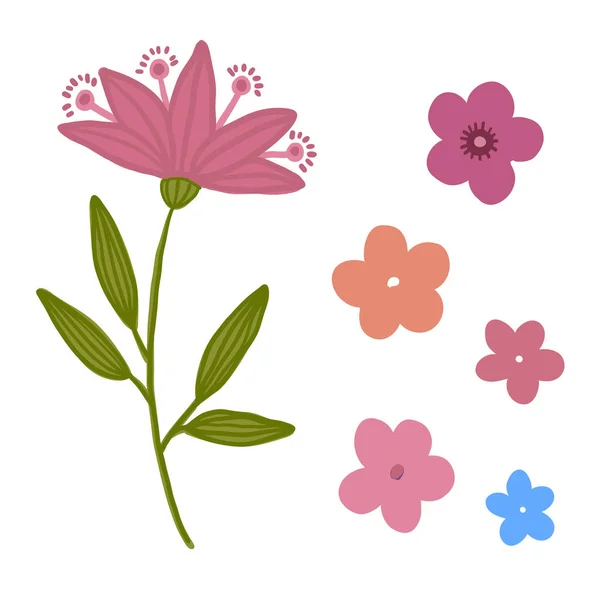 Çiçek Vektör Paketi Dekoratif Yalnız Çiçekler — Stok Vektör
